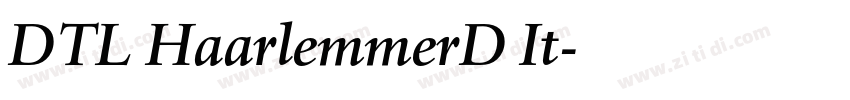 DTL HaarlemmerD It字体转换